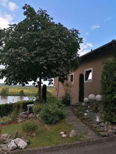 شقة Haus Der Weinkoenigin Kristina بيزبورت المظهر الخارجي الصورة